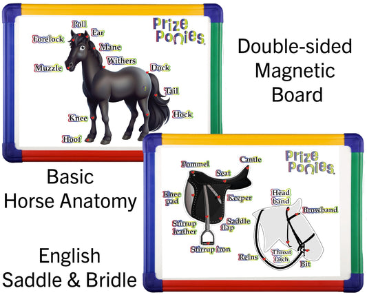 Equine Educational Magnet Board - Prize Ponies