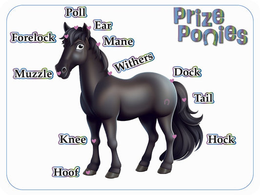 Lulu's Basic Anatomy Board - Prize Ponies